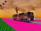 Pinky island,pinky bus