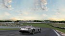 A special angled picture of a race in Brands Hatch track. As always, no edits.

Car: Mercedes-Benz SLR McLaren Stirling Moss by Riva
Track: Brands Hatch by Sajmon14