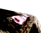 The Jeep Cherokee, good for climbing mountains. ;)